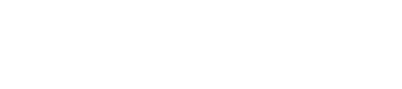 MViP-Web_main-white